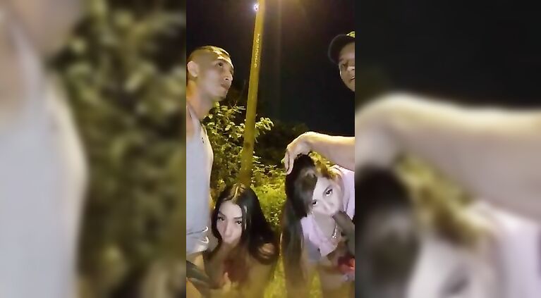 Foursome 2 girls blowjob in the park